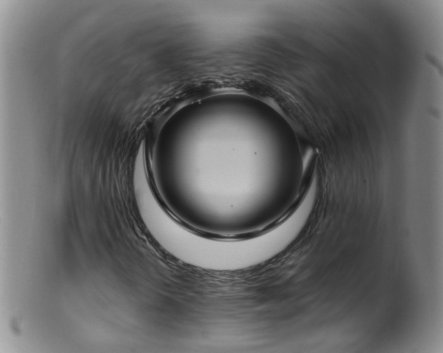 X0000099481298200805161125