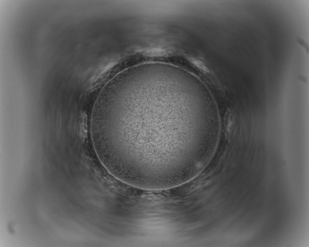 X0000099481301200805161125