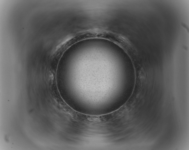 X0000099481302200805161125