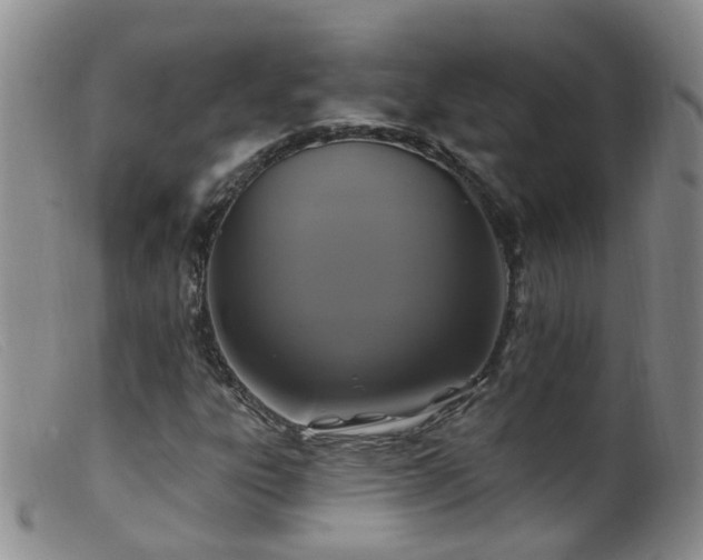 X0000099481303200805161125