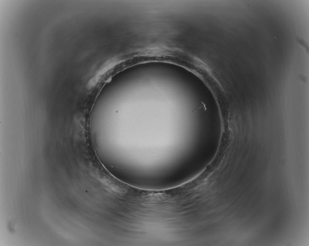 X0000099481304200805161125