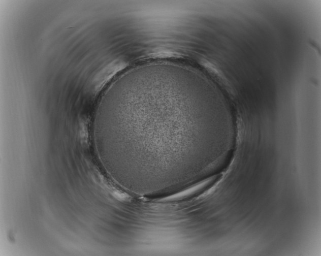 X0000099481305200805161125