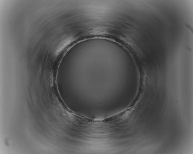 X0000099481306200805161125