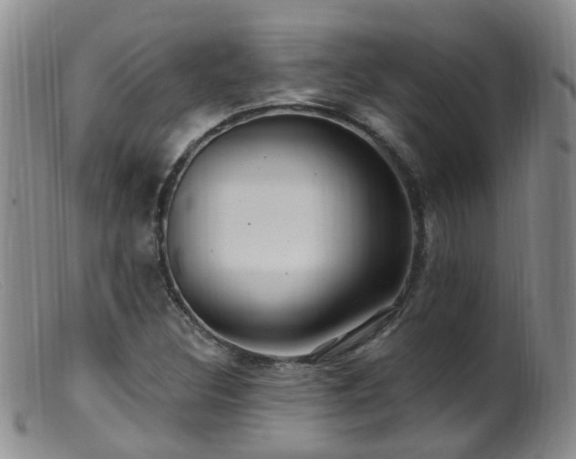 X0000099481308200805161125