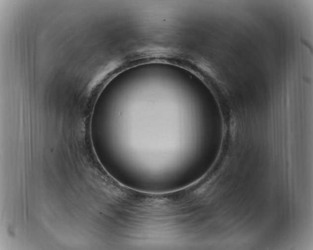 X0000099481309200805161125