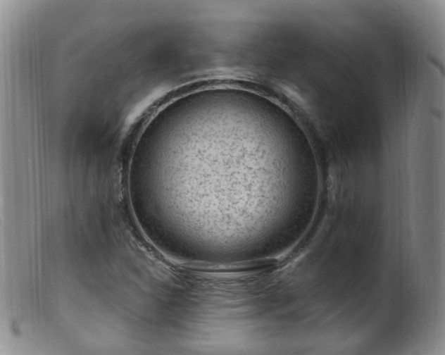 X0000099481310200805161125