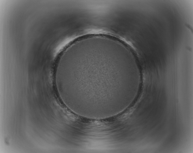 X0000099481311200805161125