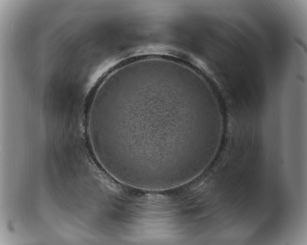 X0000099481312200805161125