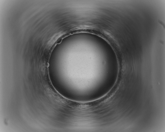 X0000099481313200805161125