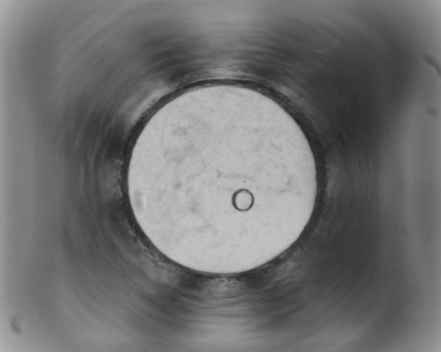 X0000099481314200805161125