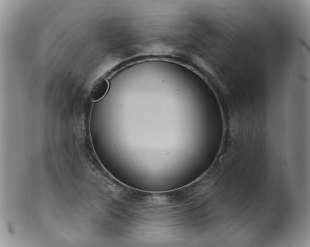 X0000099481315200805161125
