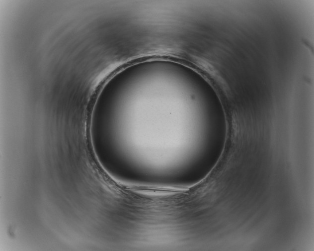 X0000099481316200805161125