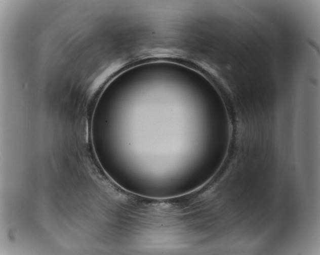 X0000099481317200805161125