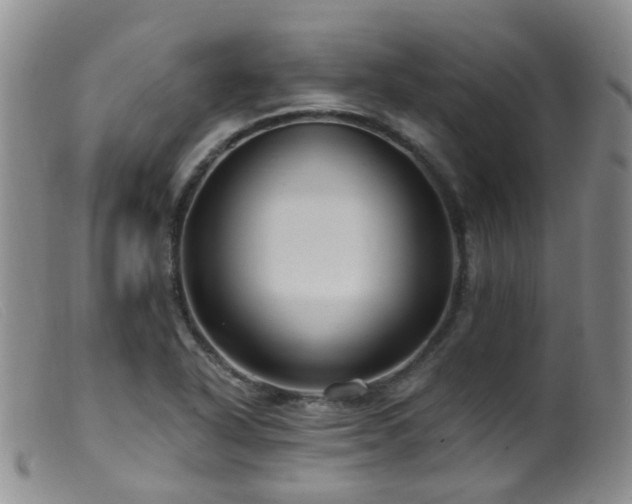 X0000099481318200805161125