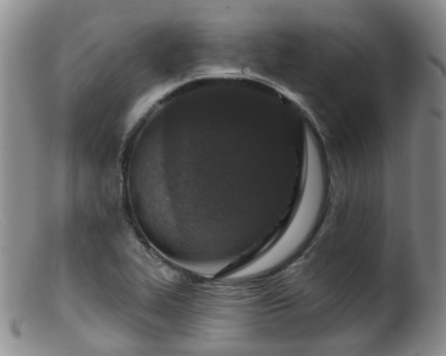 X0000099481319200805161125