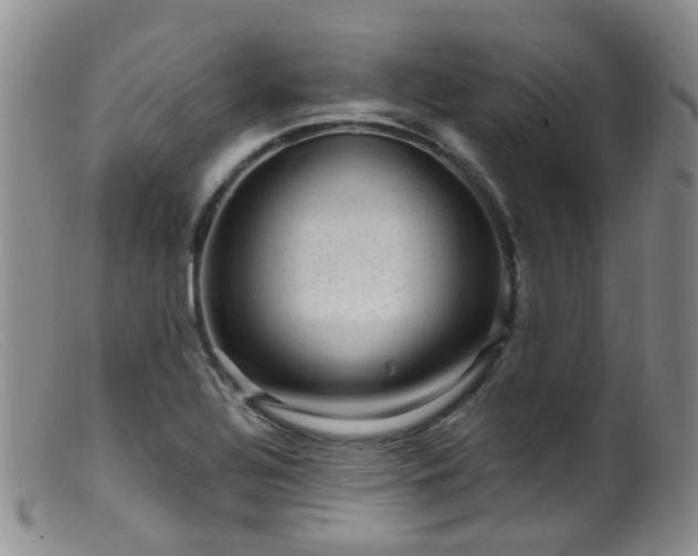 X0000099481320200805161125
