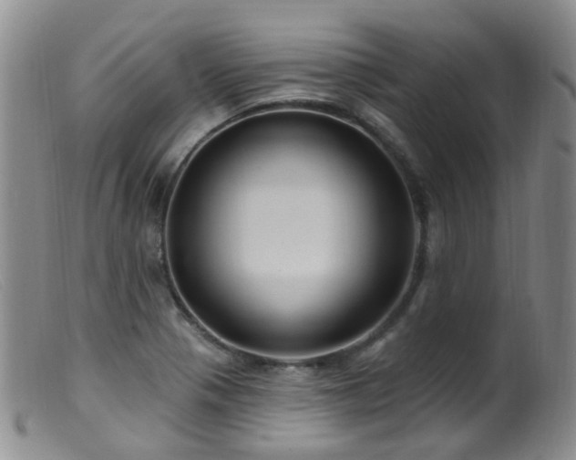 X0000099481321200805161125