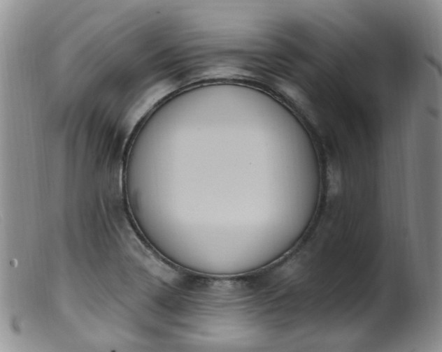 X0000099481322200805161125