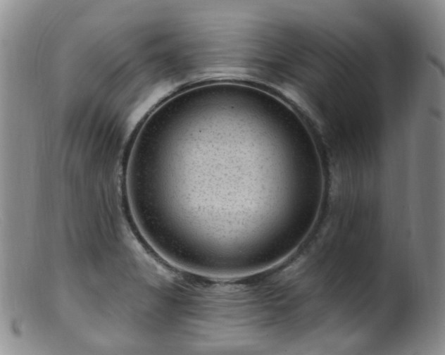 X0000099481325200805161125