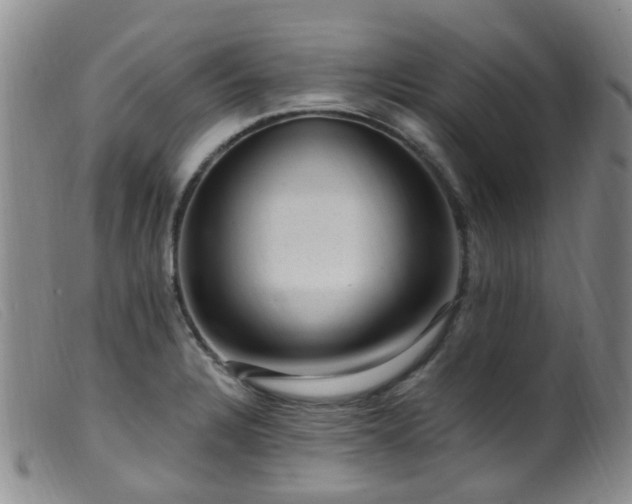 X0000099481328200805161125