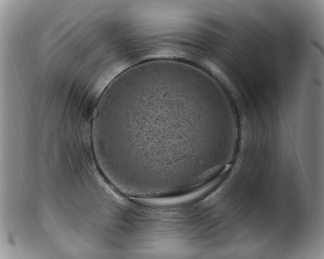 X0000099481329200805161125