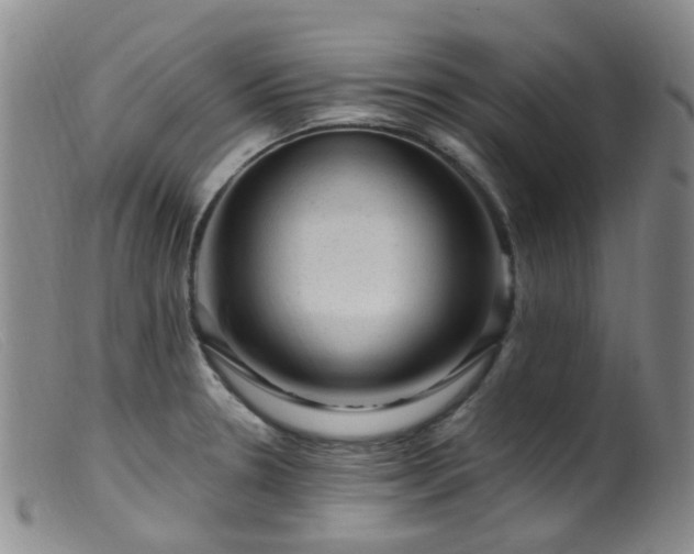 X0000099481330200805161125