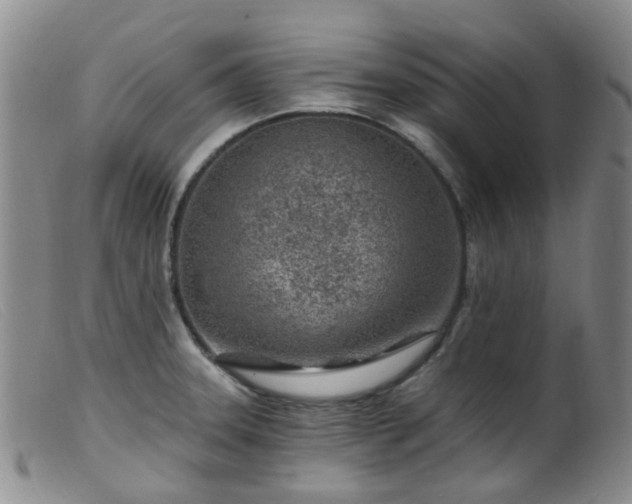 X0000099481331200805161125