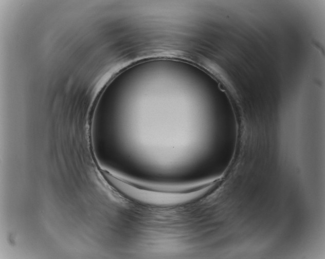 X0000099481332200805161126