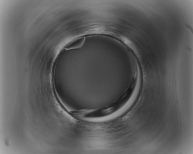 X0000099481334200805161126