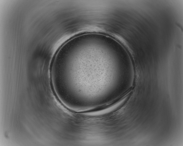 X0000099481335200805161126
