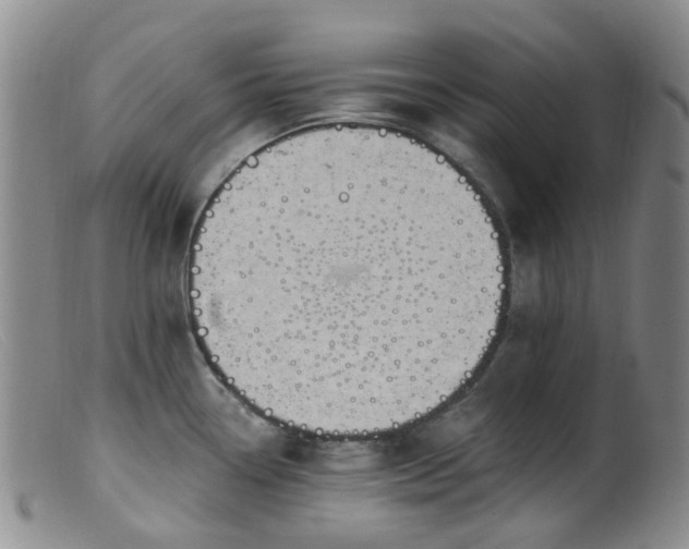 X0000099481338200805161126