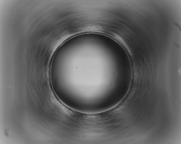X0000099481339200805161126