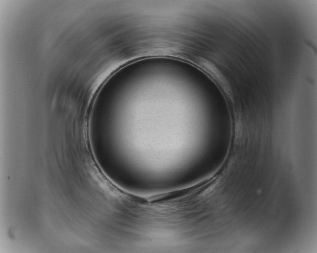 X0000099481340200805161126