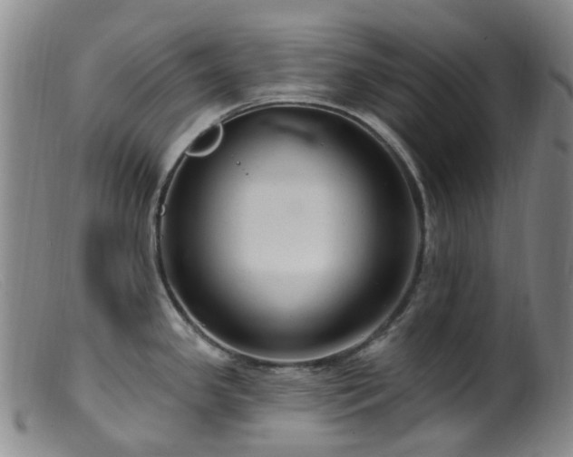 X0000099481341200805161126
