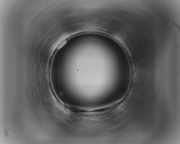 X0000099481342200805161126