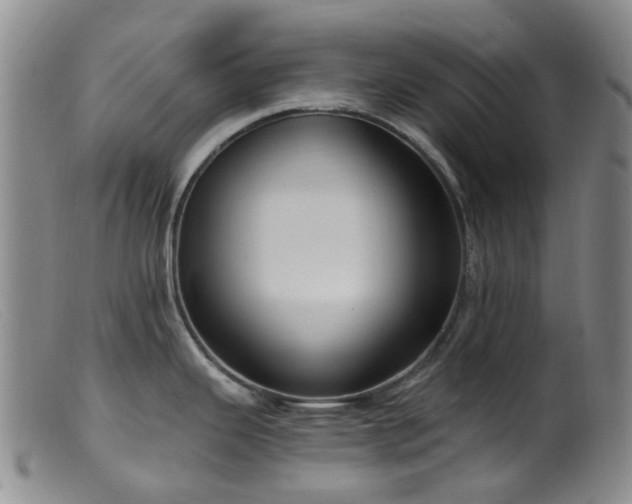 X0000099481343200805161126