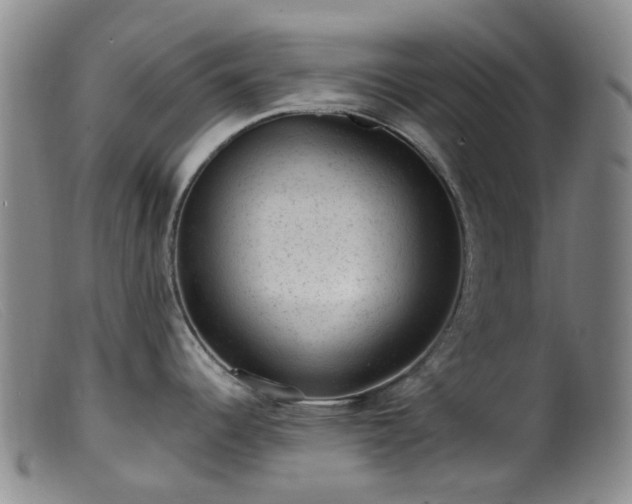 X0000099481344200805161126