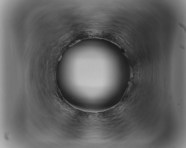 X0000099481345200805161125