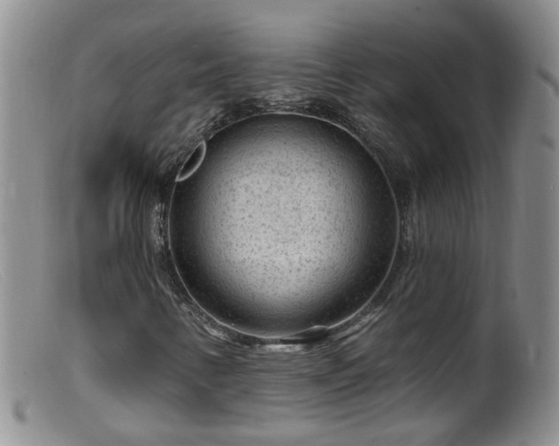X0000099481346200805161125