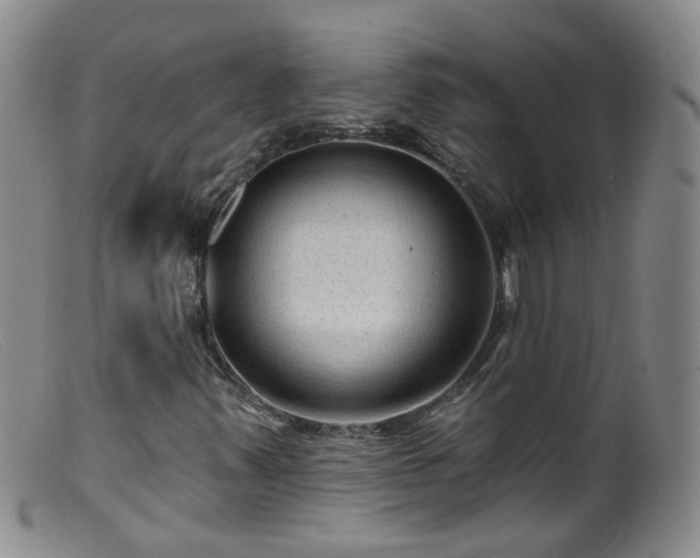 X0000099481347200805161125