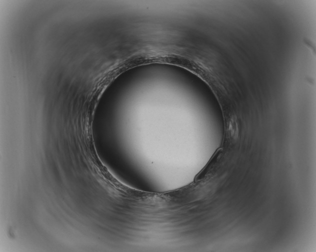 X0000099481348200805161125