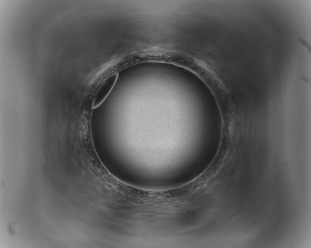 X0000099481350200805161125