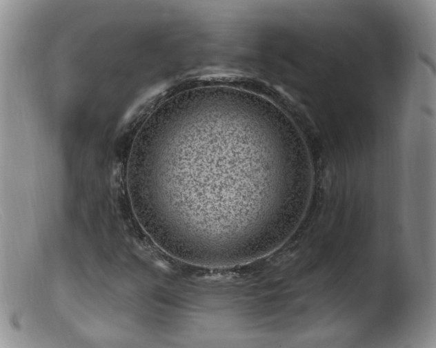 X0000099481351200805161125