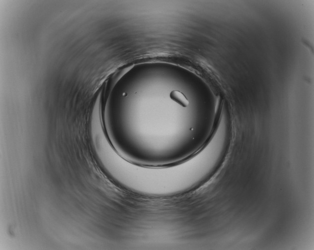 X0000099481353200805161125