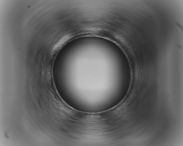 X0000099481354200805161125