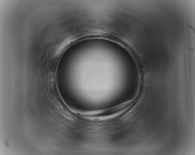 X0000099481355200805161125