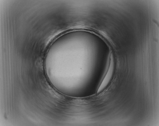 X0000099481356200805161125