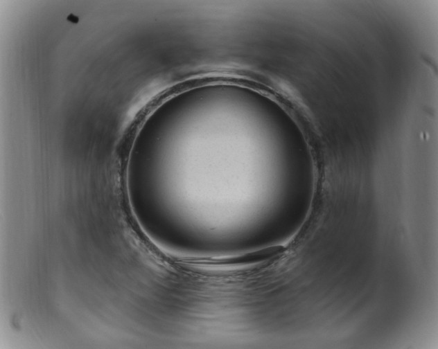 X0000099481360200805161125