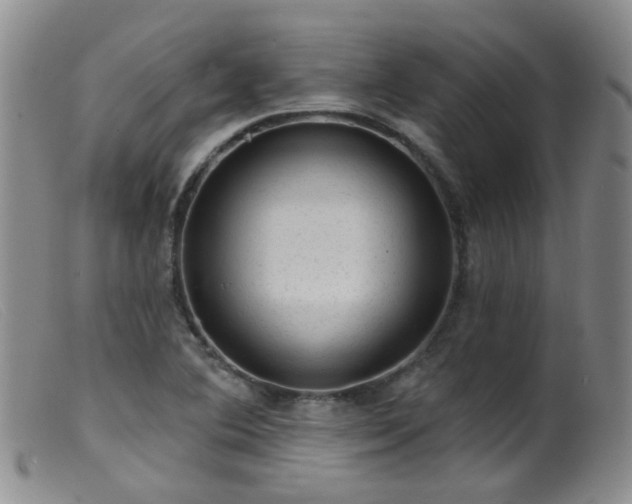 X0000099481364200805161125