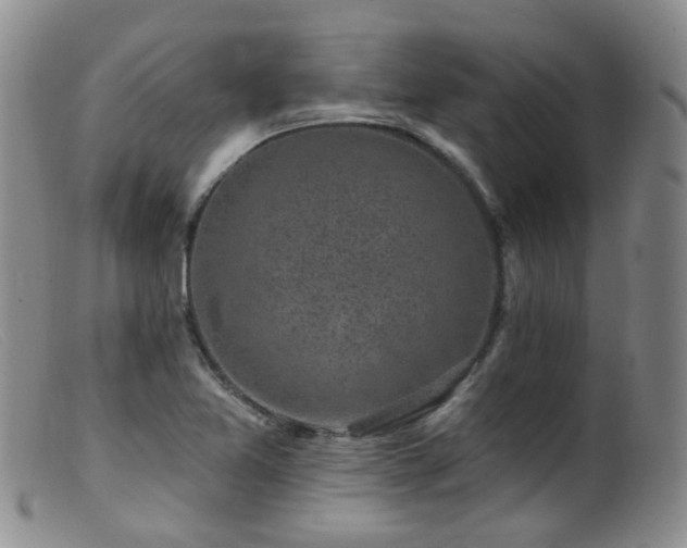 X0000099481365200805161125